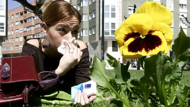 Se prevé una primavera moderada para los alérgicos al polen