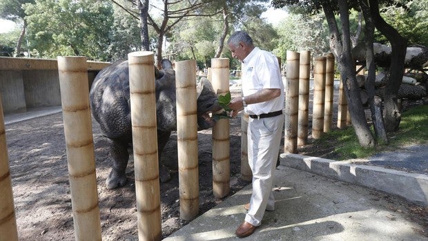 El Ayuntamiento cierra el zoo y el parque de atracciones como medidas para prevenir el Covid-19