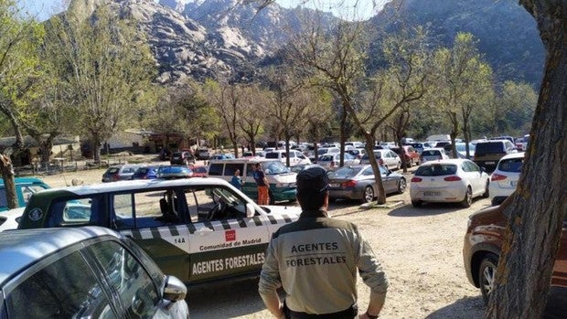 Cafeterías abiertas y aglomeraciones en parques y mercados: la policía interviene ante la desobediencia civil