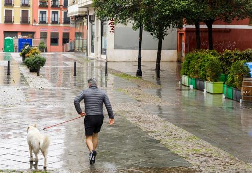 Una persona pasea a su perro en el centro de Valladolid en la seguinda jornada del estado de alarma decretado por el avance del coronavirus