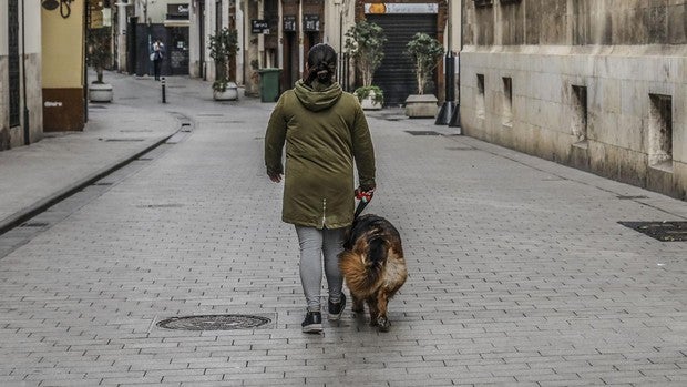 Coronavirus: multan a varias personas por turnarse el paseo del mismo perro en Alicante