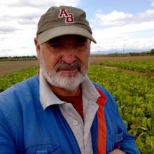 Ángel González investiga en Fuenlabrada cómo erradicar productos químicos en la huerta