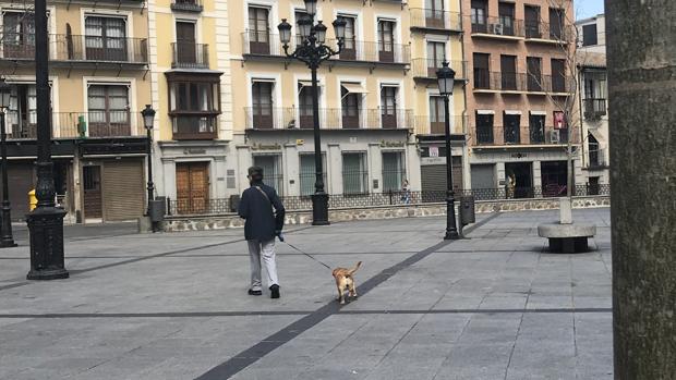 Los toledanos no podrán pasear al perro a más de 300 metros de su casa