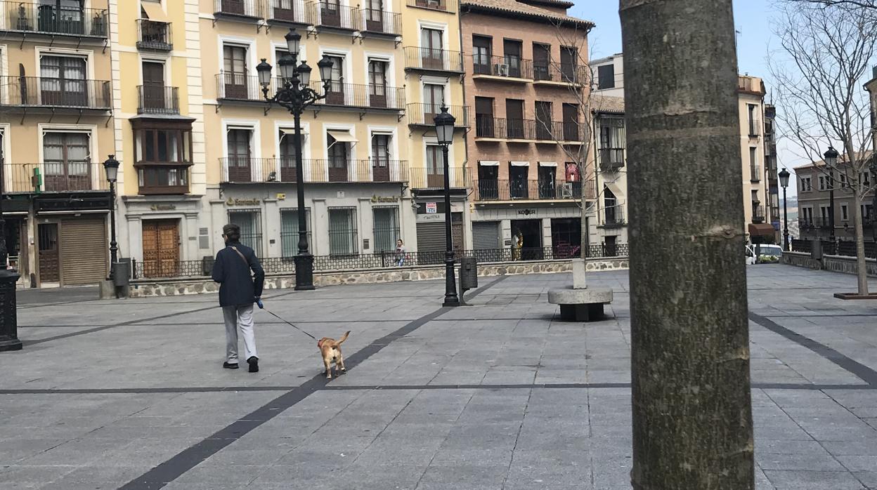 Una mujer pasea a su perro por Zocodover