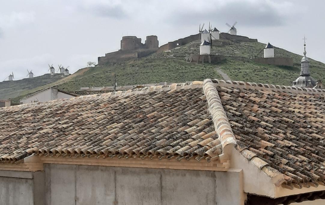 El cerro Calderico, cerrado desde el comienzo del estado de alarma, visto desde el casco urbano