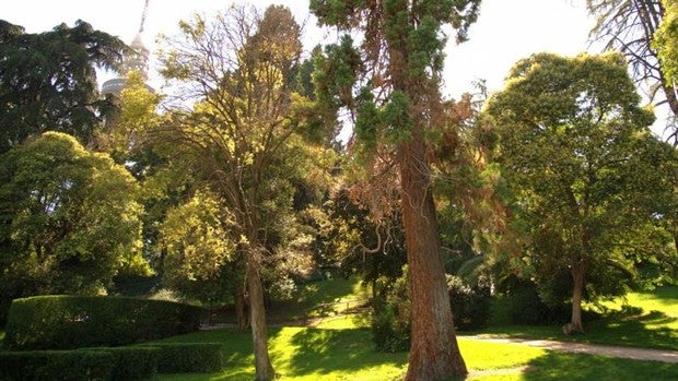 Madrid pondrá una placa a Luis Eduardo Aute en el parque de la Quinta de la Fuente del Berro