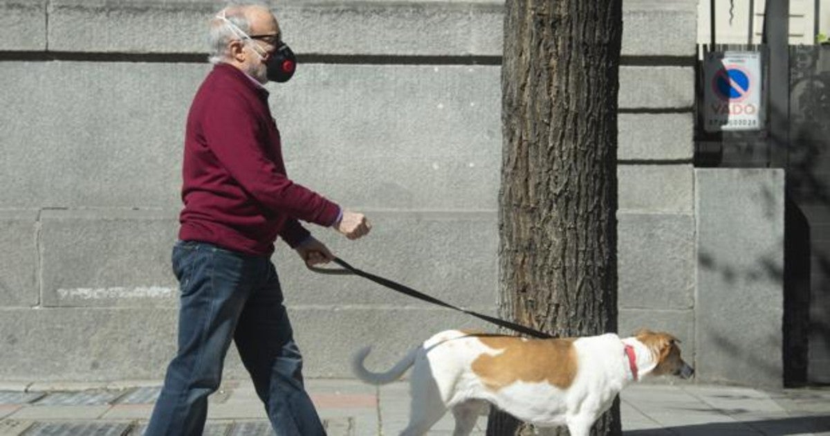 El Ayuntamiento de Zamora se hará cargo de las mascotas de personas afectadas por el coronavirus