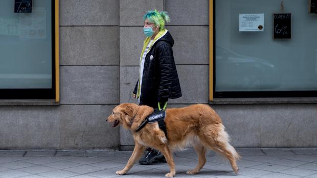 Detenido por tirar a su perro por el balcón tras sufrir un brote psicótico en Palencia