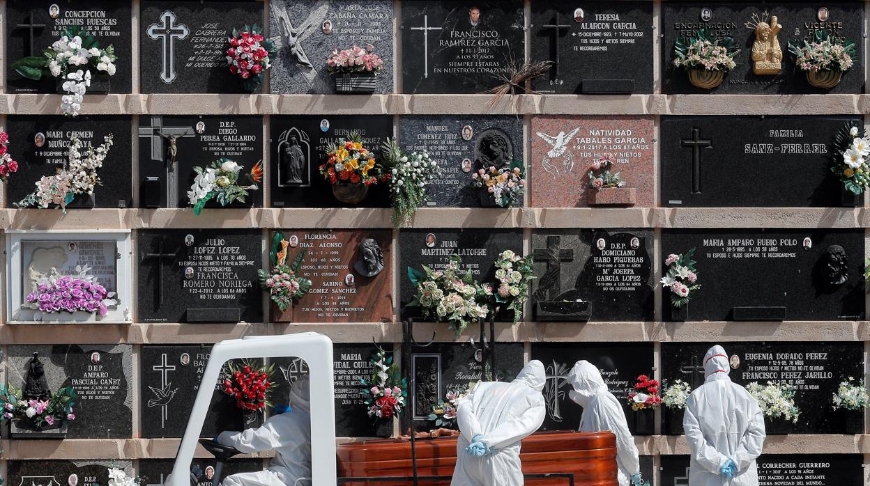 Imagen tomada esta semana en un cementerio de la ciudad de Valencia