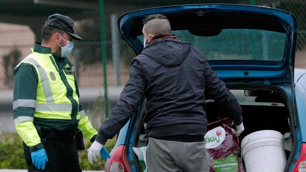 Barbacoa clandestina en Alicante: sorprenden a un grupo celebrando un cumpleaños pese al confinamiento