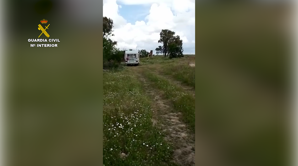 Autocaravana acampada debajo de un árbool