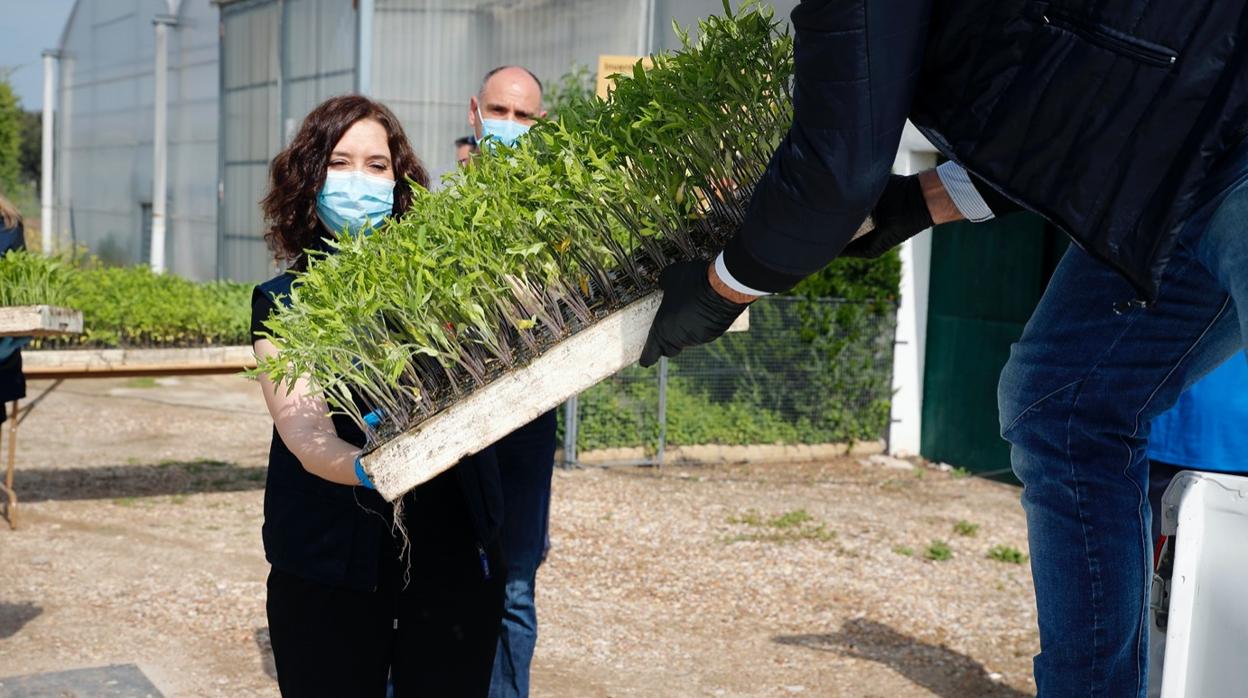 La presidenta Isabel Díaz Ayuso ha visitado este sábado las instalaciones del Imidra