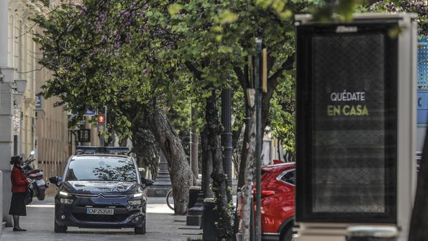 Detienen a una madre y a su hija en un parque tras vulnerar quince veces el confinamiento por el Covid-19