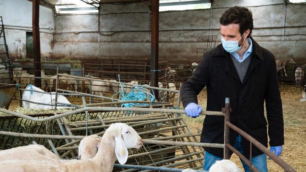 El PP vuelve a marcar distancia con el Gobierno y no apoyará el decreto sobre la Justicia