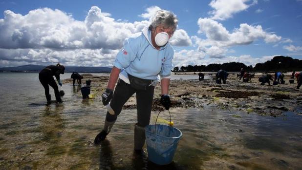 Las mariscadoras retoman la faena tras seis semanas paradas