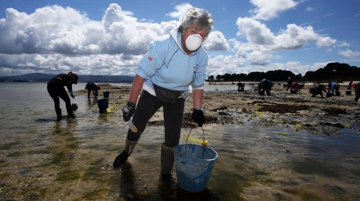 Mariscadoras en una playa de A Illa de Arousa (Pontevedra) esta semana