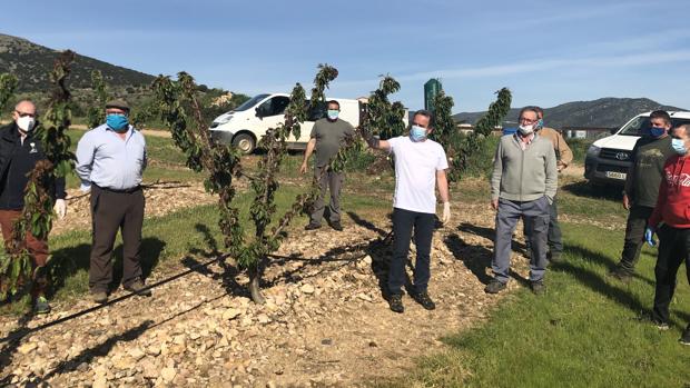 Piden al Gobierno aragonés que acuda al rescate del pueblo arruinado por una bacteria