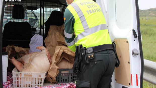 La Guardia Civil interviene en Huesca decenas de kilos de carne de cerdo no apta para el consumo