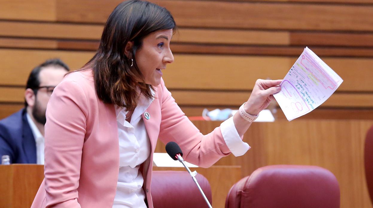 La socialista Ana Sánchez, durante su pregunta a Francisco Igea