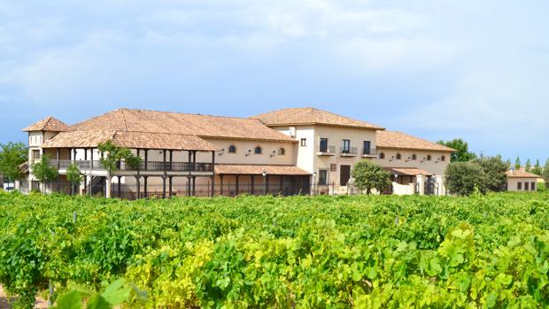 Sierra Norte, bodega de La Roda (Albacete), crea dos vinos sin sulfitos, uno de ellos un «orange wine»