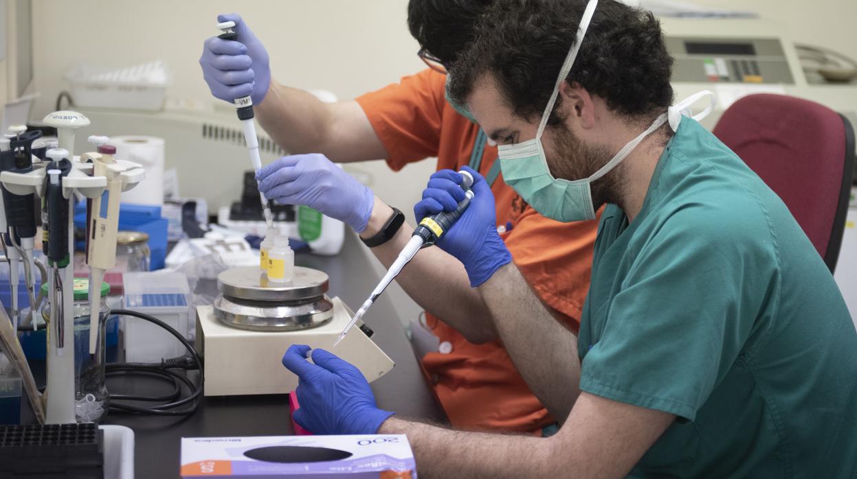 Técnicos en un laboratorio en el que se realizan pruebas de PCR para detectar casos de coronavirus