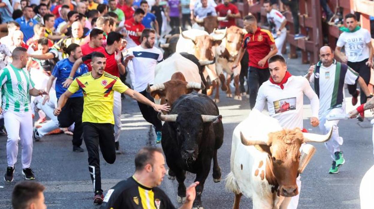 La primera jornada de encierros de la última edición de las fiestas de San Sebastián de los Reyes