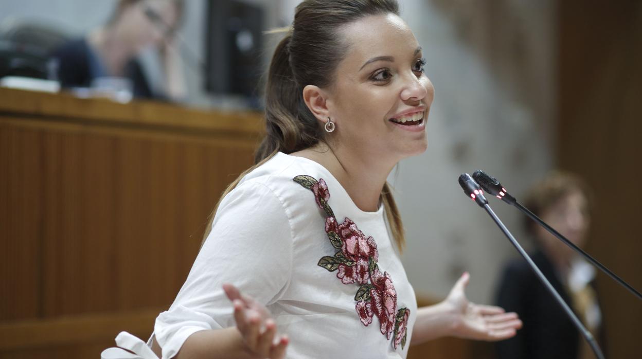 Maru Díaz se propone «aterrizar la estrategia de Pablo Iglesias en Aragón»