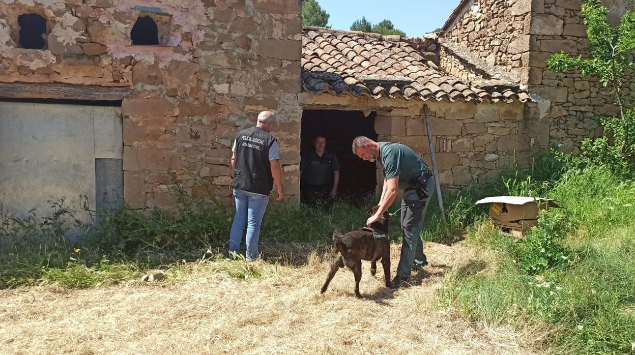 Imagen del dispositivo de la Guardia Civil rastreando zonas rurales en Valencia