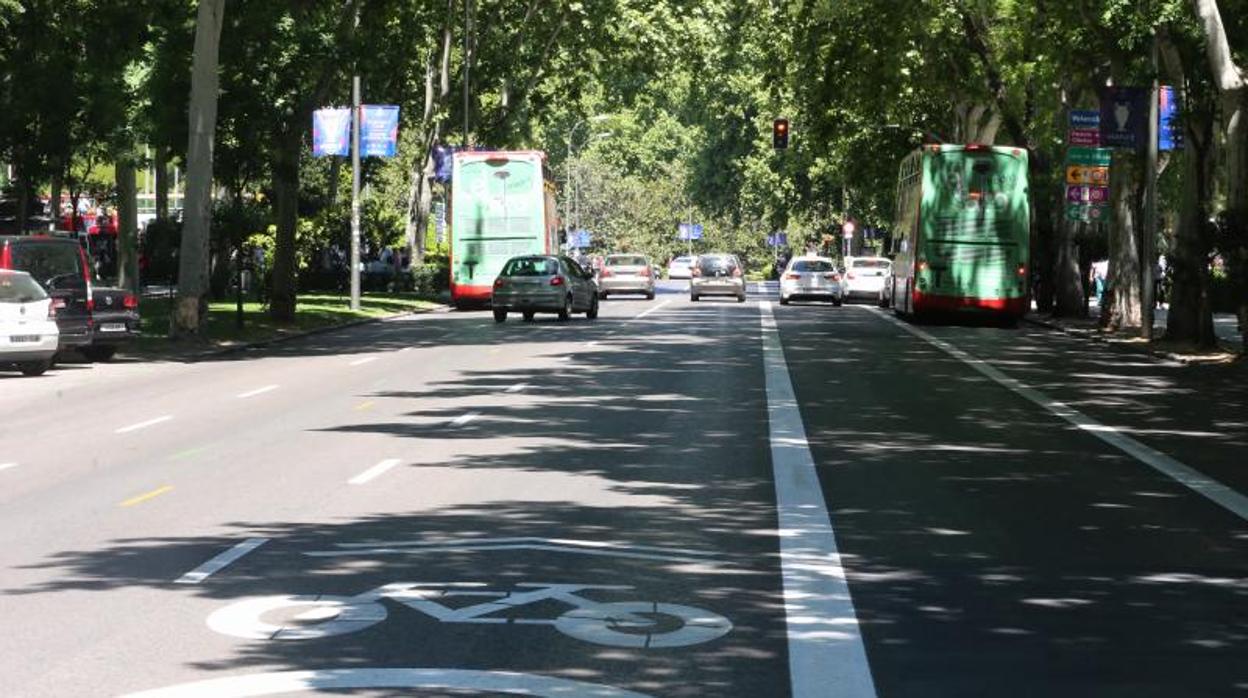 El carril bus nuevo del Paseo del Prado