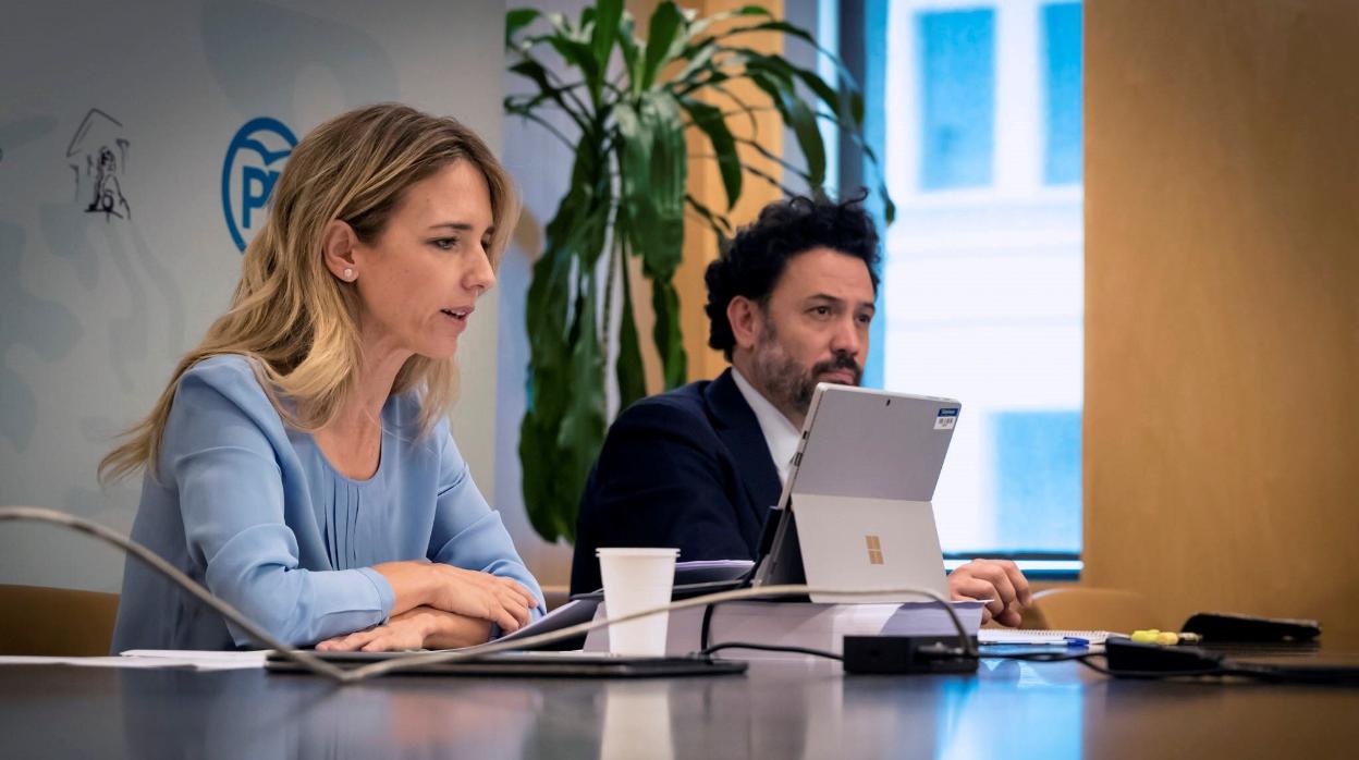 Cayetana Álvarez de Toledo, junto a Guillermo Mariscal hoy en rueda de prensa telemática