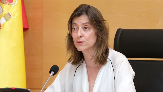 Castilla y León alerta de que el Ingreso Mínimo Vital no cubrirá las necesidades «de inmediato»