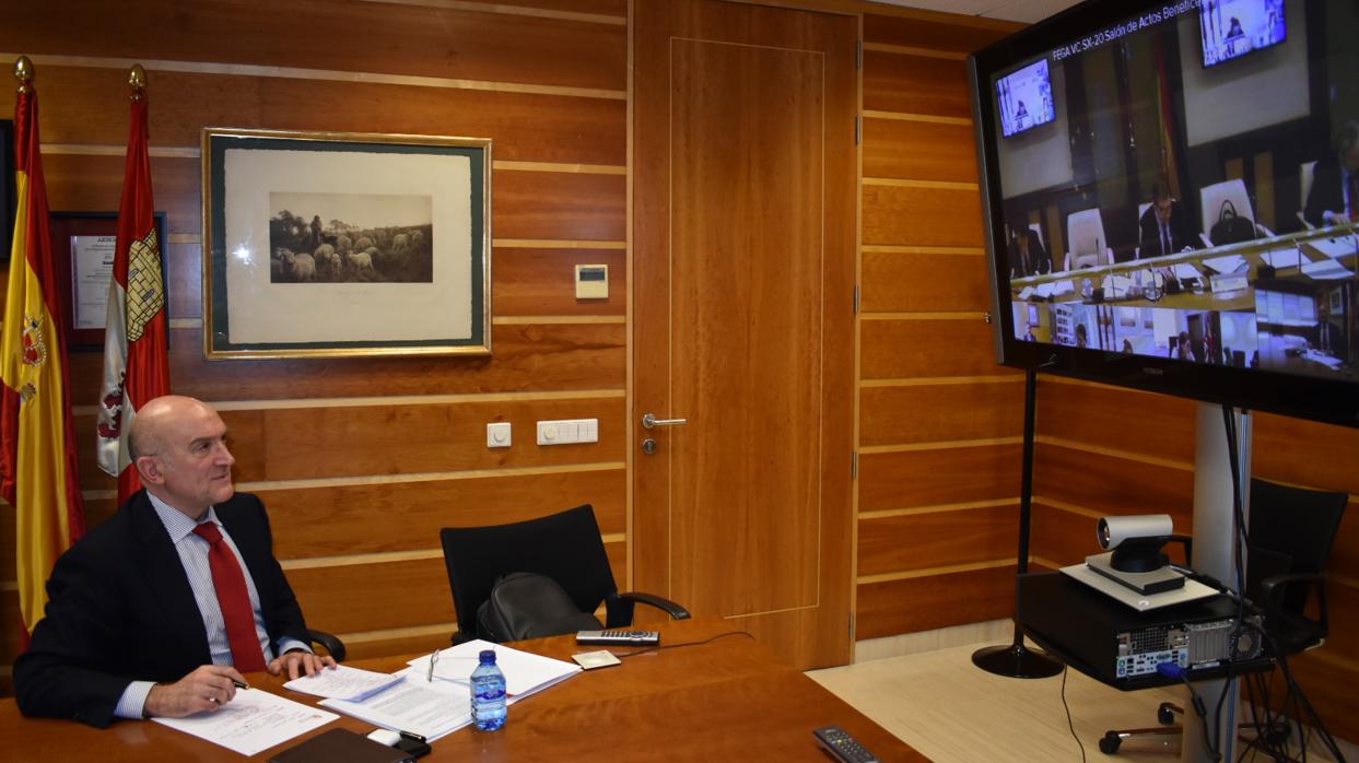 Carnero, en una videoconferencia con el ministro Planas