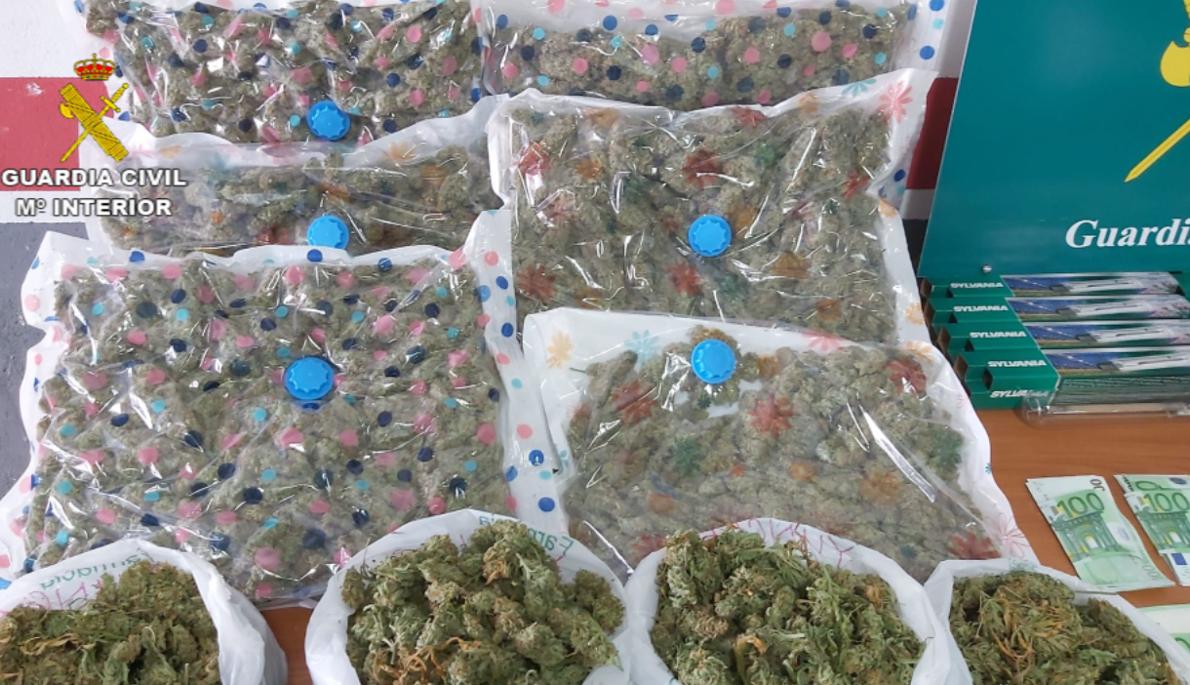 Cogollos de marihuana dispuestos para la venta