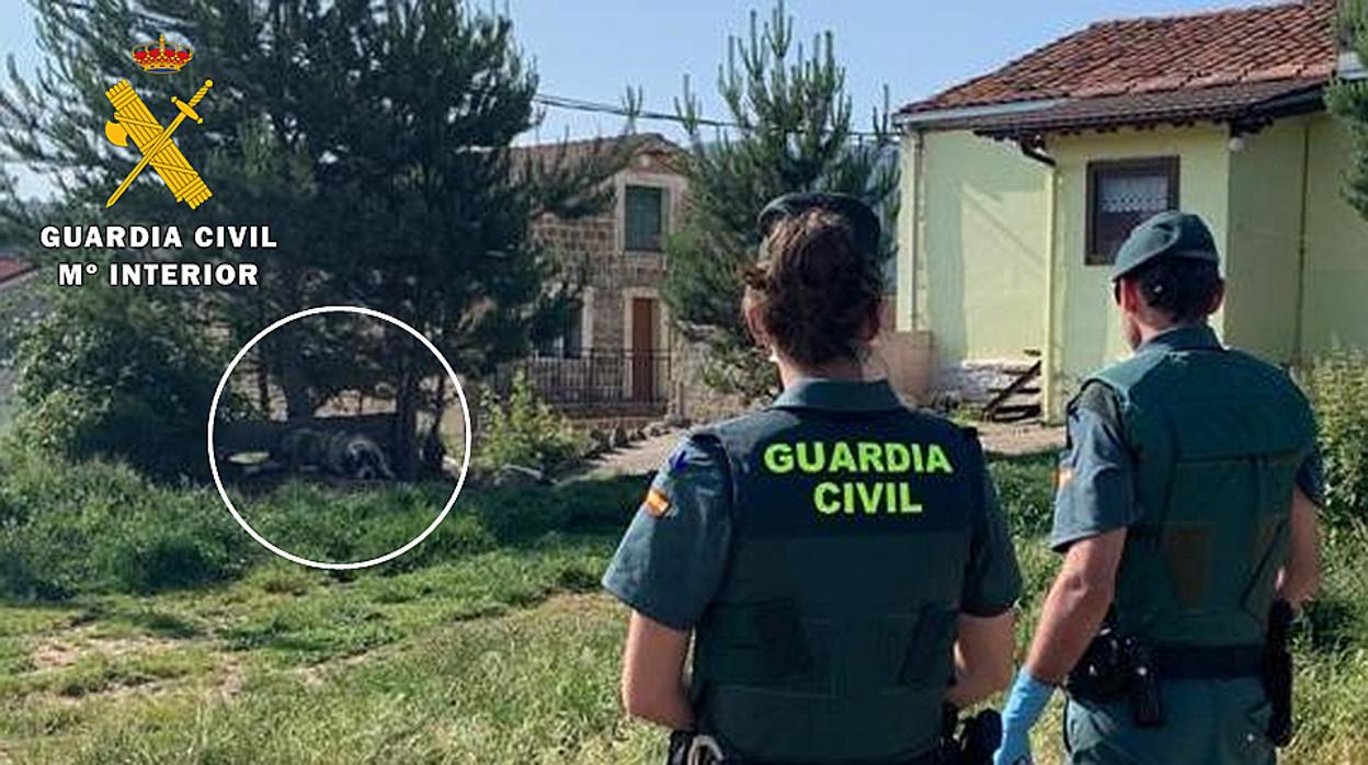 Intervenidos nueve mastines peligrosos en Regumiel de la Sierra (Burgos) tras varias denuncias por ataques