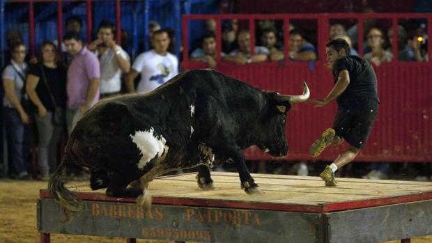 Valencia Fase 3: las peñas aspiran a celebrar «bous al carrer» desde finales de julio en plazas portátiles