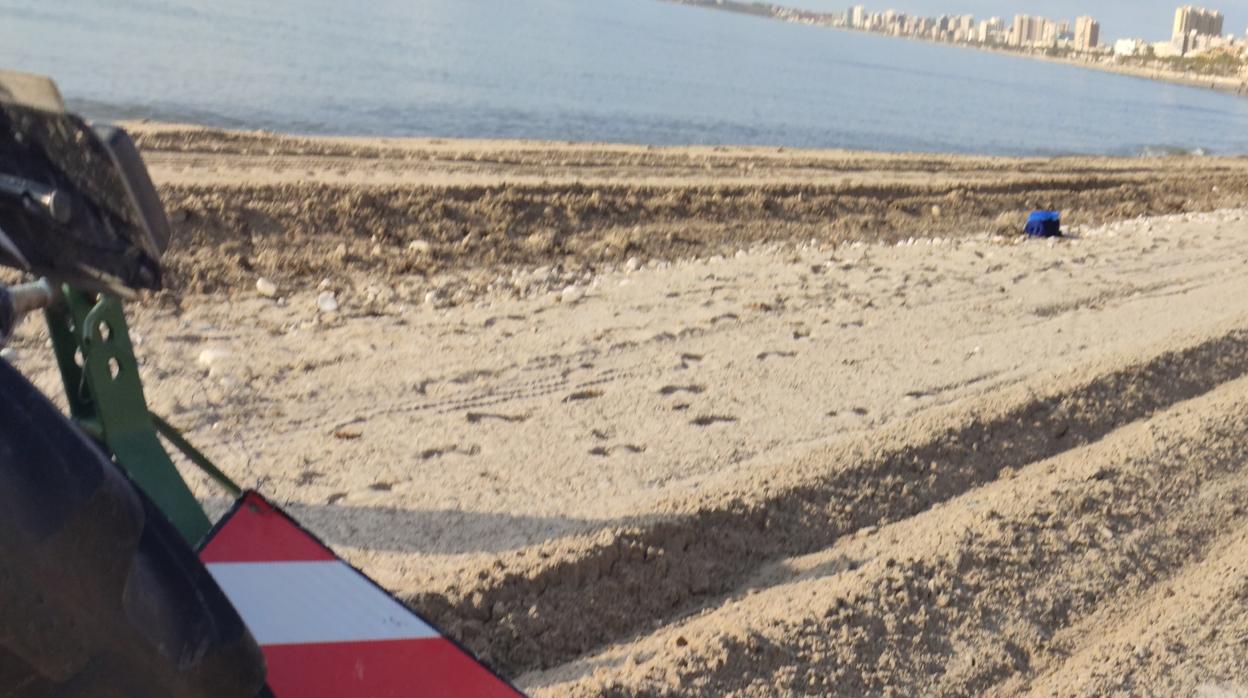 Un tractor hace un caballón para separar zonas en la playa del Rincón de la Zofra en El Campello, este jueves