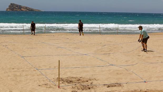 Playa de Benidorm post-Covid: de 40.000 turistas al día a tranquilas parcelas de 4x4 metros