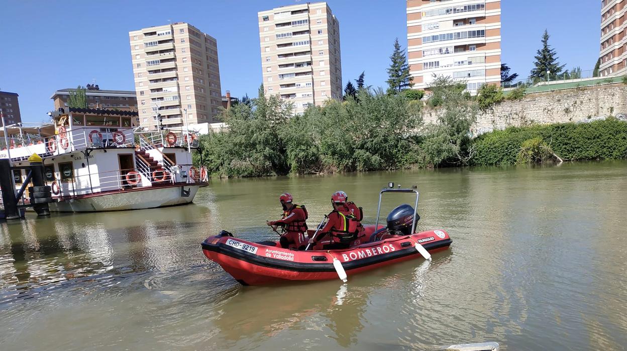 Labores de búsqueda durante toda la semana en Valladolid