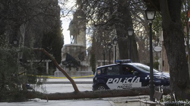 El Retiro tendrá en septiembre megafonía y paneles informativos para evacuaciones de emergencia