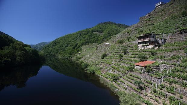 Los entornos rurales predominan en la ocupación turística de Galicia para este verano