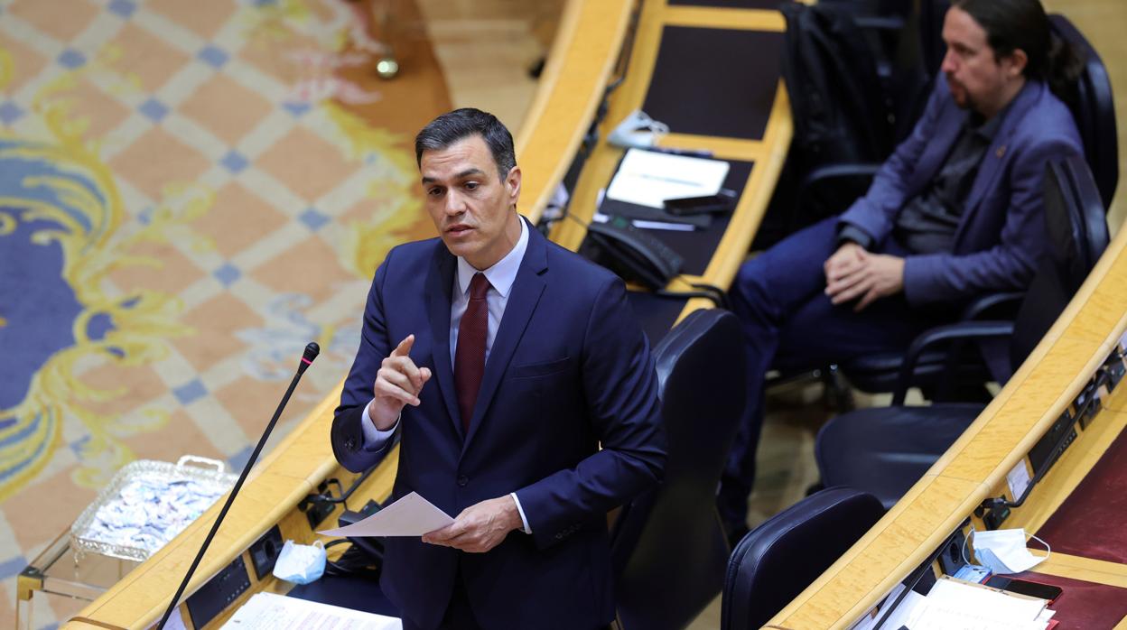 Pedro Sánchez, en el Senado