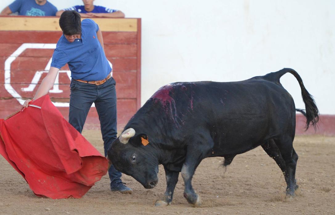 Esaú Fernández, tentadero en la finca El Lucero de Añover de Tajo