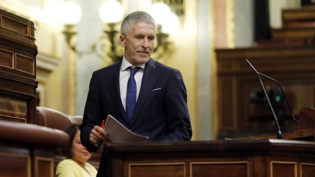 Bildu salva de la reprobación a Fernando Grande-Marlaska, el juez que acorraló a ETA