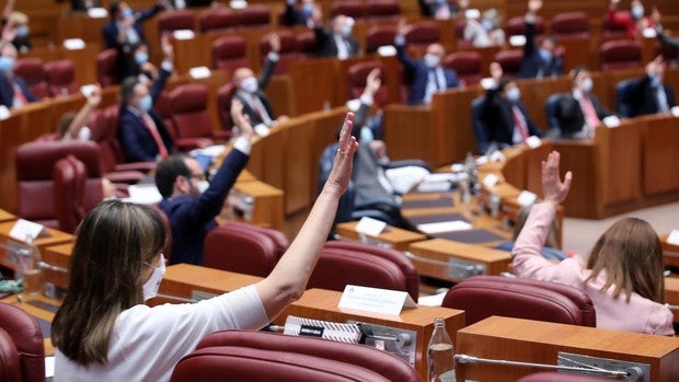 Las Cortes piden que Sacyl garantice que sus centros practican abortos en los supuestos que marca la ley