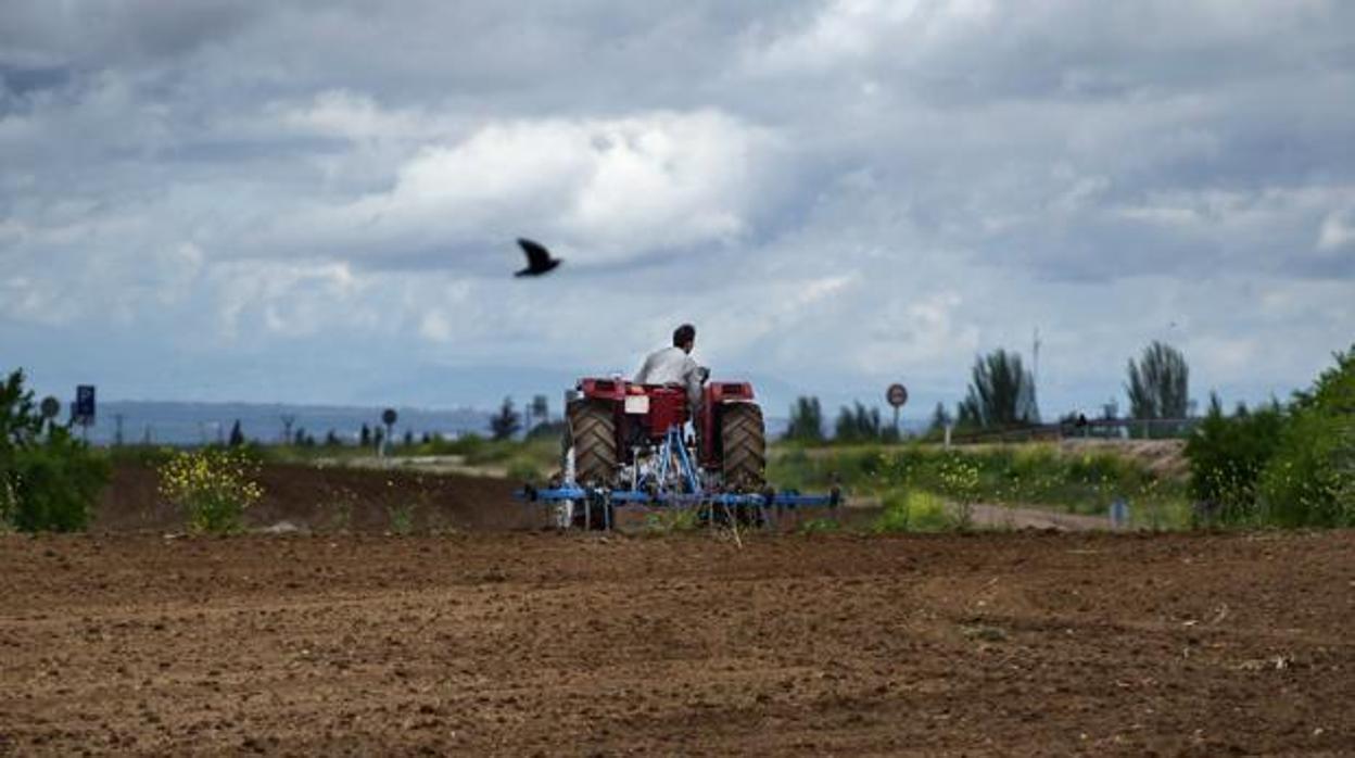 Asaja pide utilizar los fondos disponibles del PDR para apoyar a los agricultores