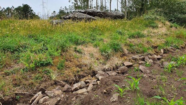 Una plantación de maíz destroza una parte del dolmen Pedra da Arca