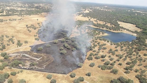Diez medios y 40 personas trabajaron en la extinción de un incendio en La Calzada de Oropesa