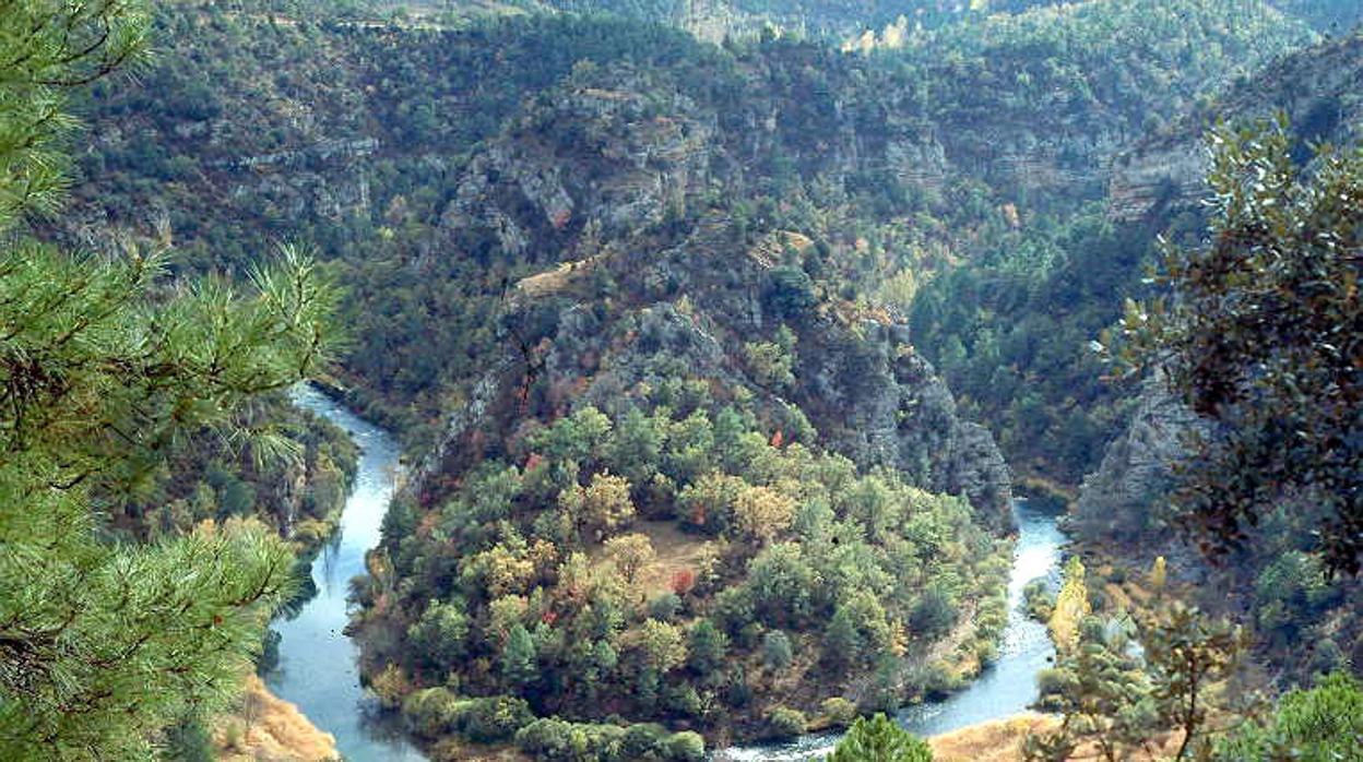 Al cumplirse 20 años de la declaración como parque natural, la Junta está organizando diferentes actividades