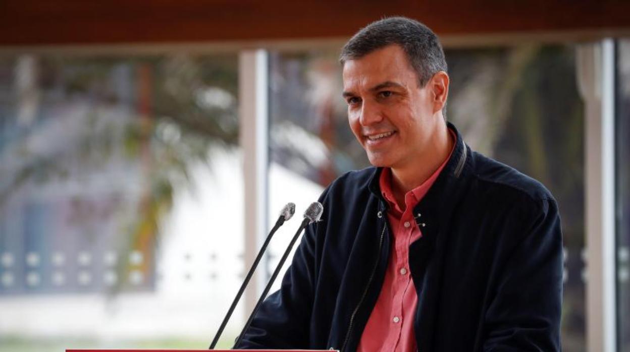 Pedro Sánchez, presidente del Gobierno