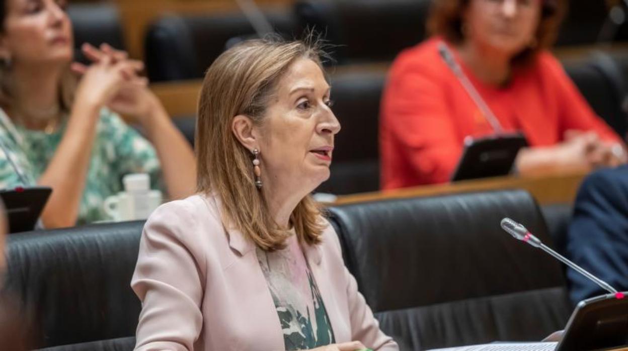 La diputada del Partido Popular, Ana Pastor